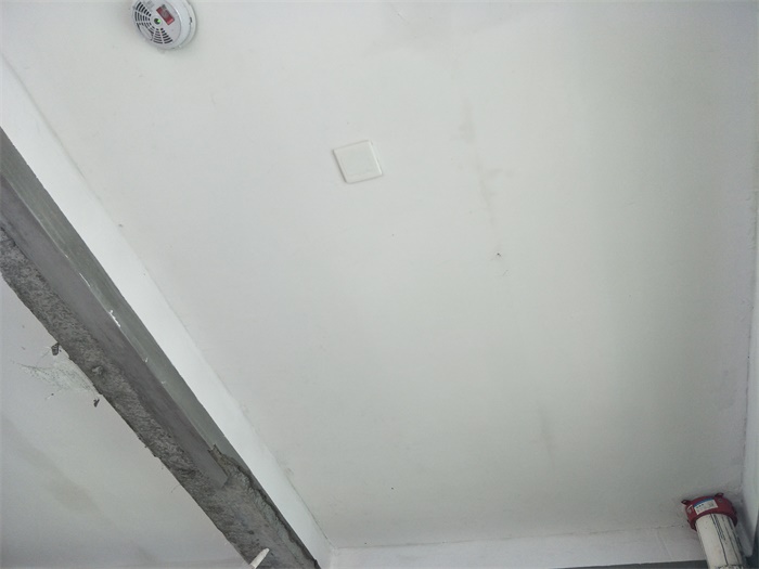 IMG20190518115354.jpg