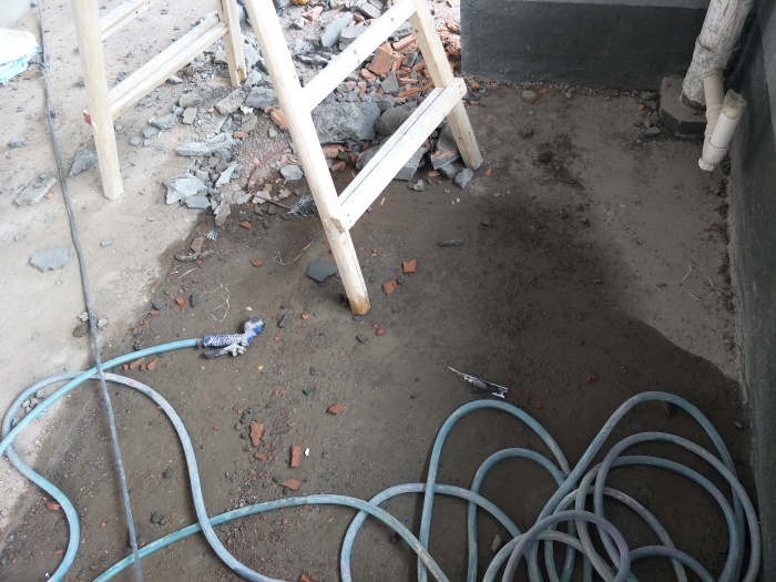 IMG20190518115357_1.jpg