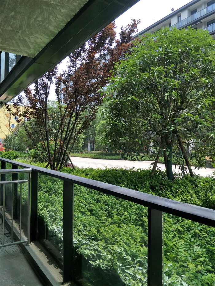 IMG20190518120823.jpg
