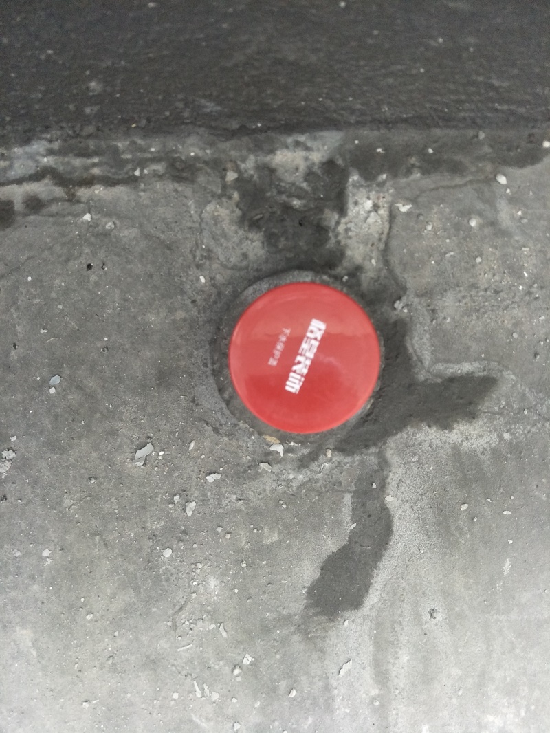 IMG20190518094149.jpg