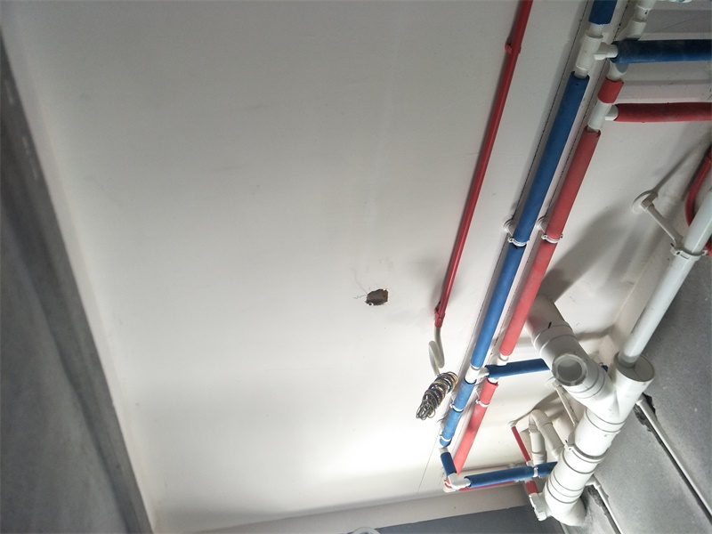 IMG20190522130846.jpg