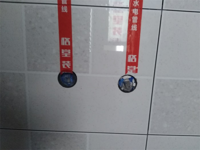 IMG_20190412_114221.jpg
