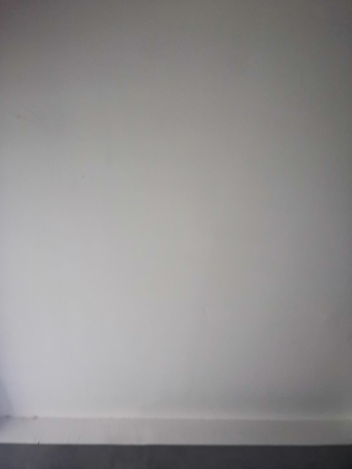 IMG_20190513_144359.jpg