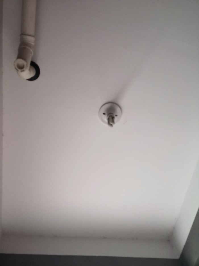 IMG_20190513_144610.jpg