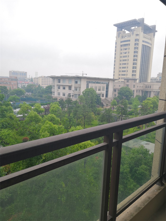 IMG_20190513_144815.jpg