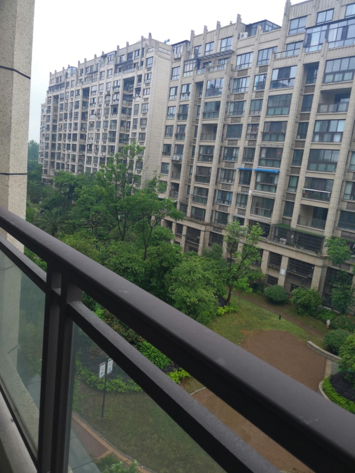 IMG_20190513_144847.jpg