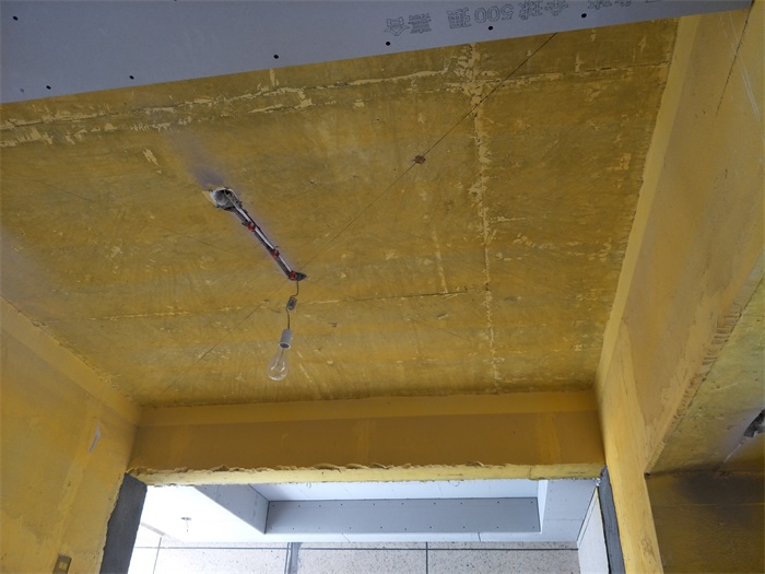 IMG20190520110306.jpg