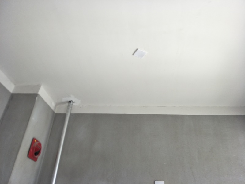 IMG20190514090325.jpg