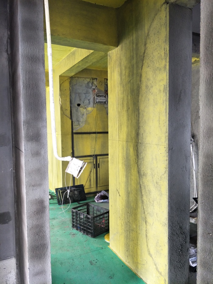 IMG20190428130205.jpg