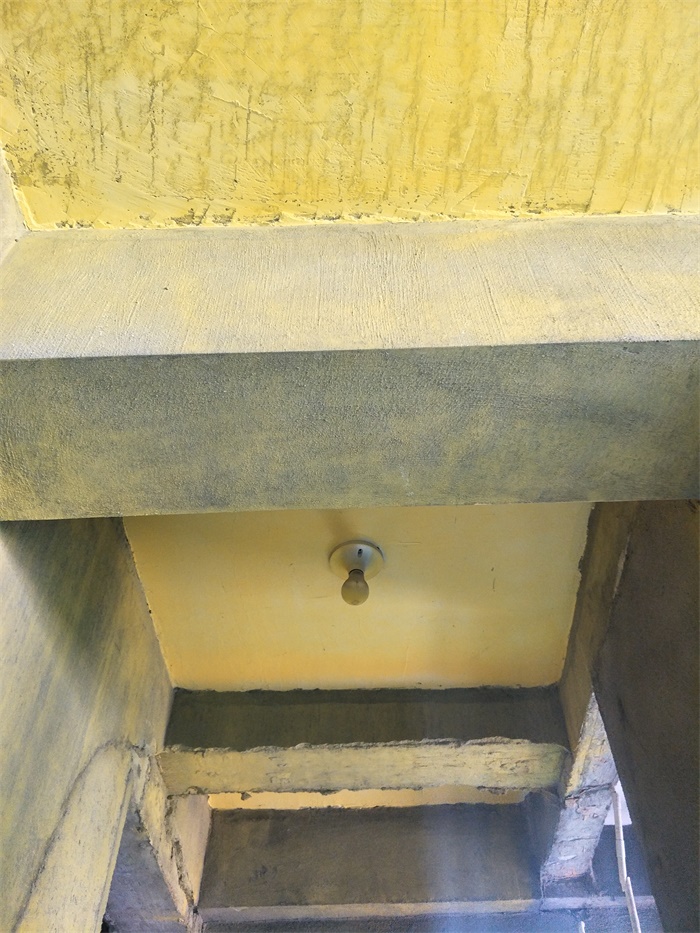 IMG20190428130246.jpg