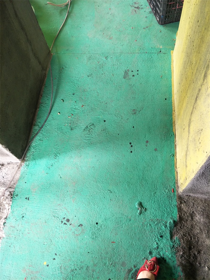 IMG20190428130309.jpg