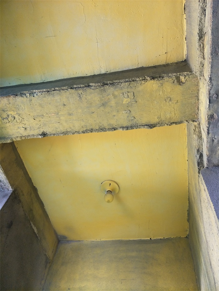 IMG20190428130307.jpg