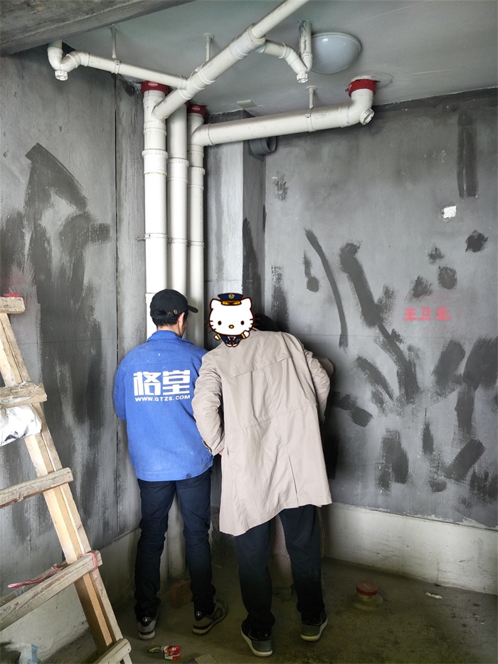 IMG20190428135212.jpg