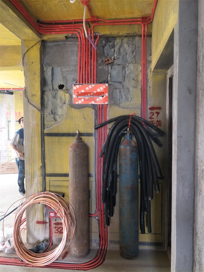 IMG20190510135119.jpg