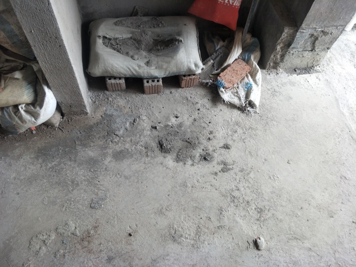 IMG20190510135325.jpg