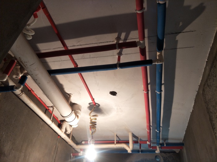 IMG20190429082224.jpg