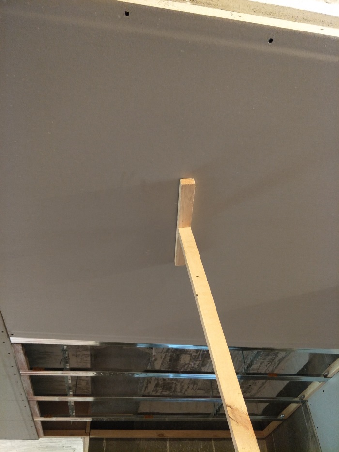 IMG20190429083228.jpg