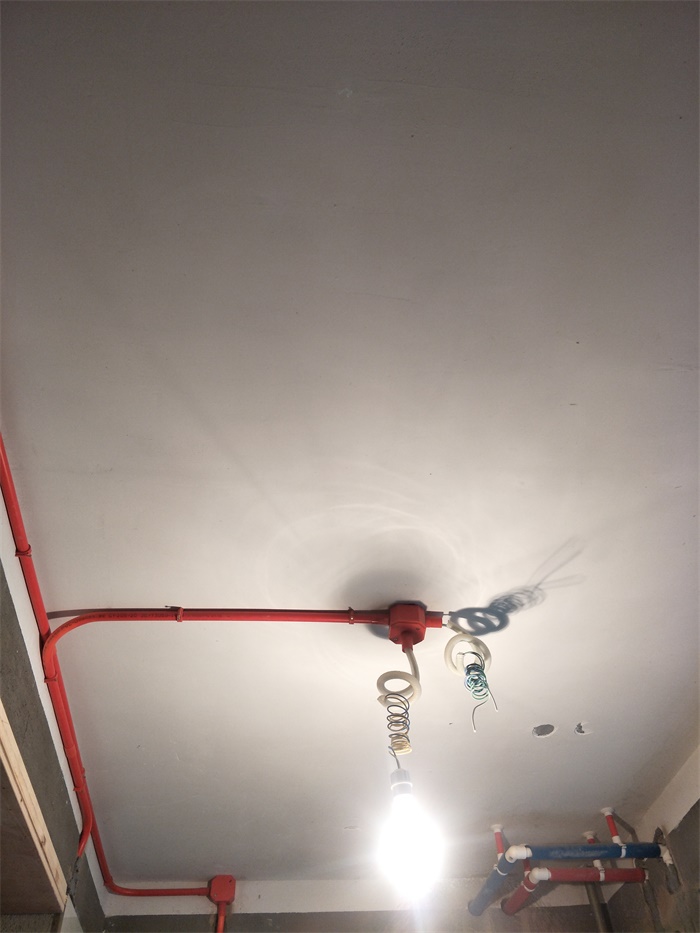 IMG20190429084001.jpg