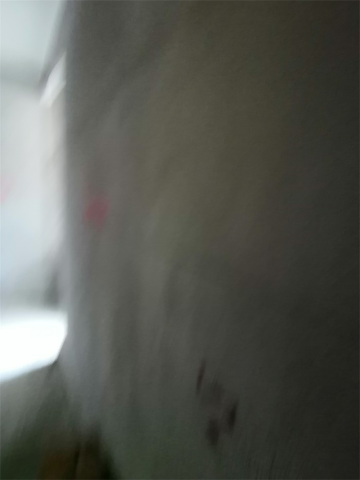 IMG_20190528_092929.jpg