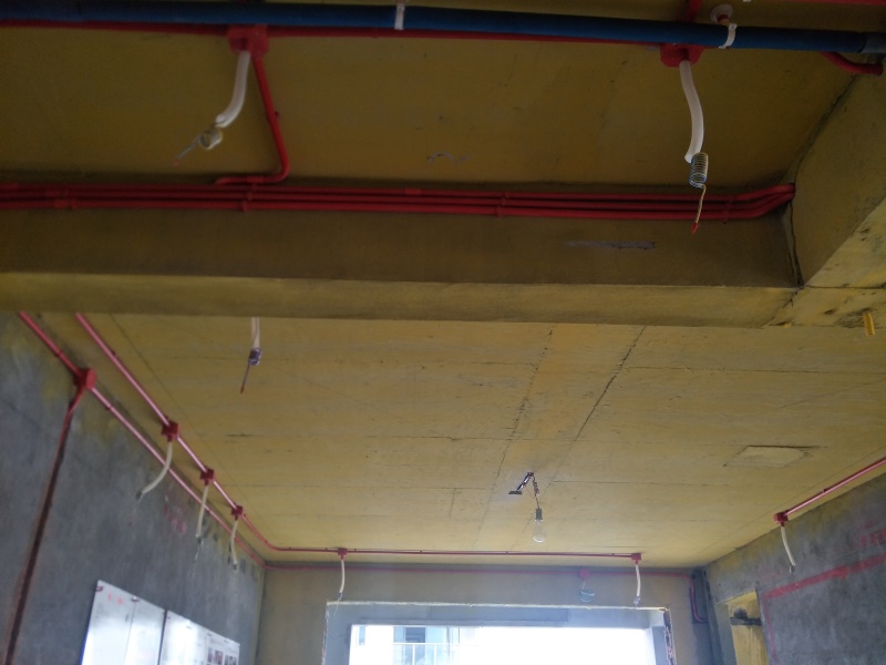 IMG20190527084903.jpg