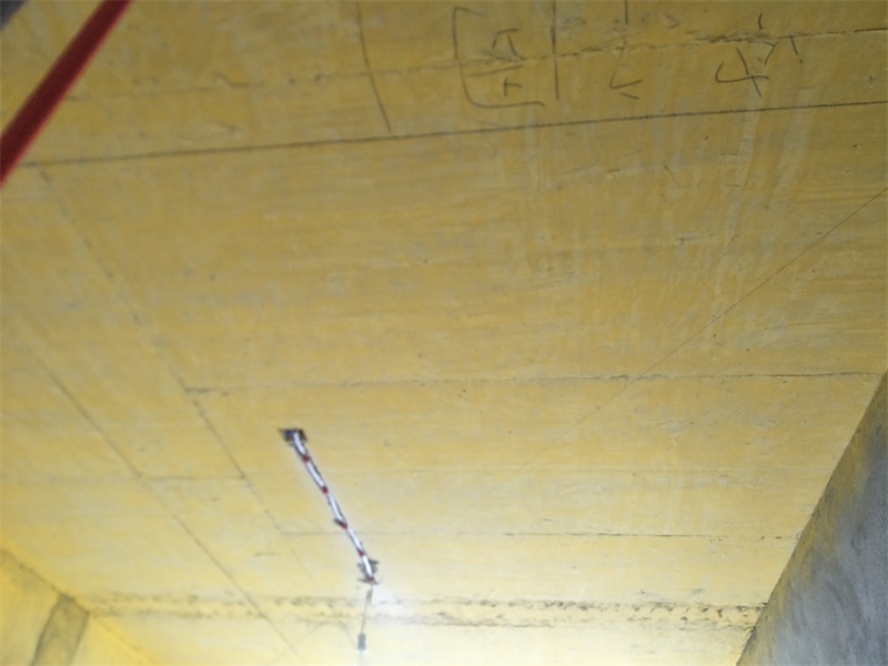 IMG20190527085524.jpg