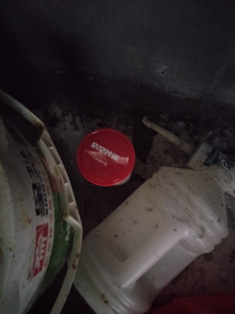 IMG20190521101353.jpg