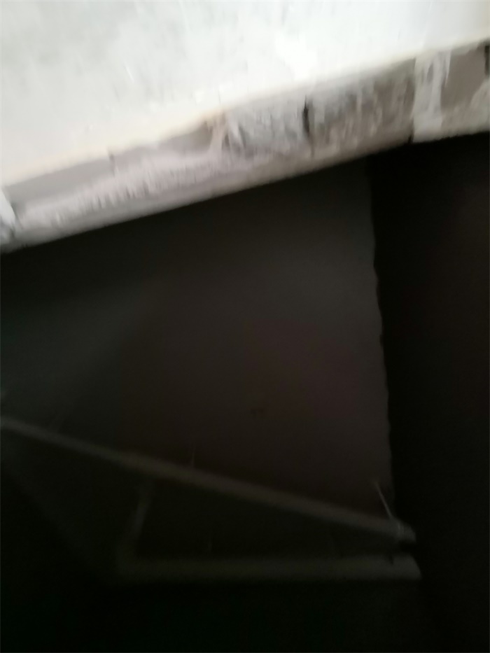 IMG_20190529_084922.jpg