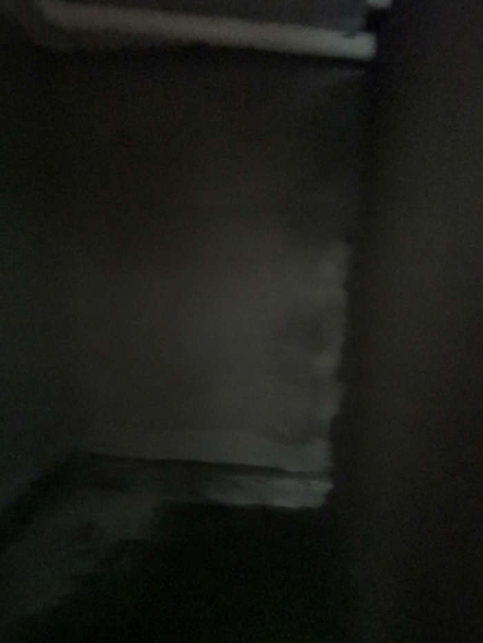 IMG_20190529_084929.jpg