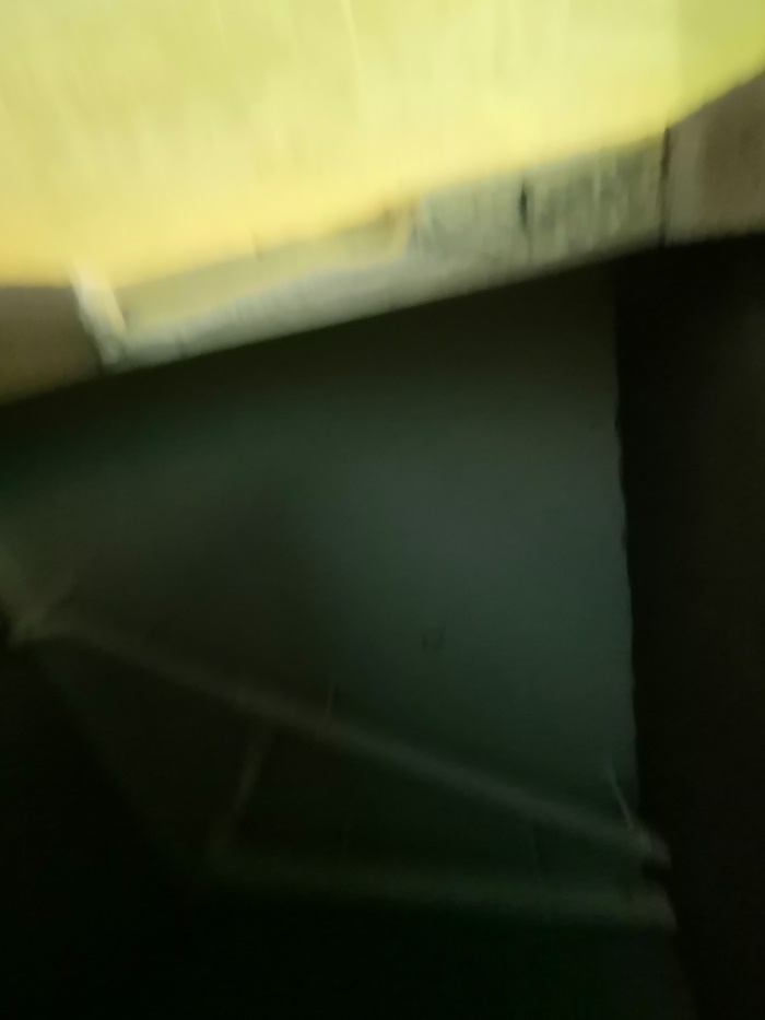 IMG_20190530_105841.jpg