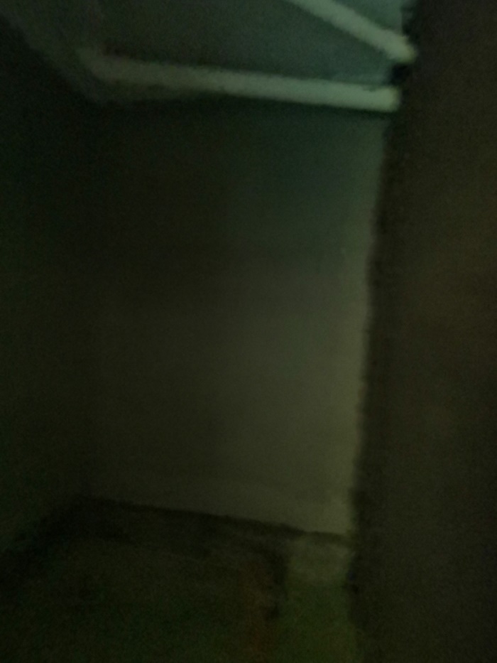 IMG_20190530_105847.jpg