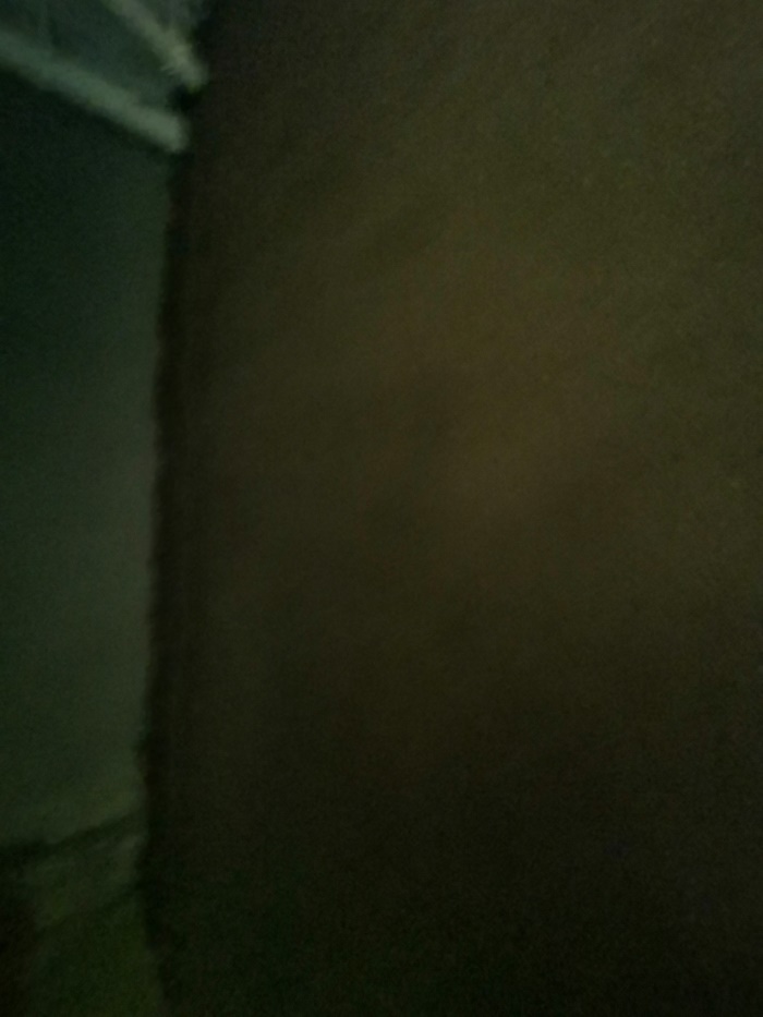 IMG_20190530_105848.jpg