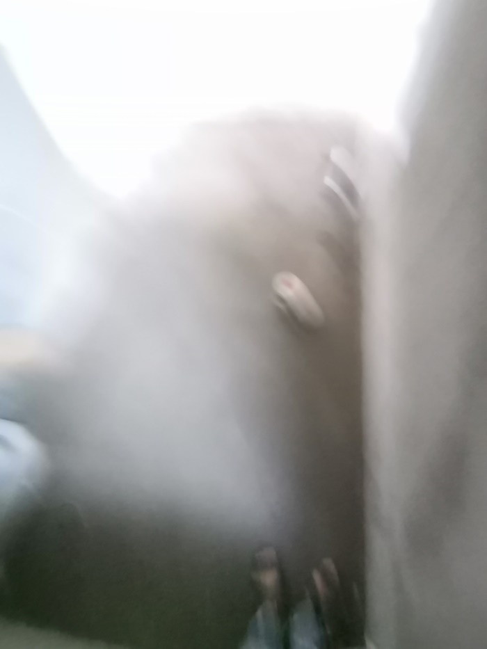 IMG_20190601_141605.jpg