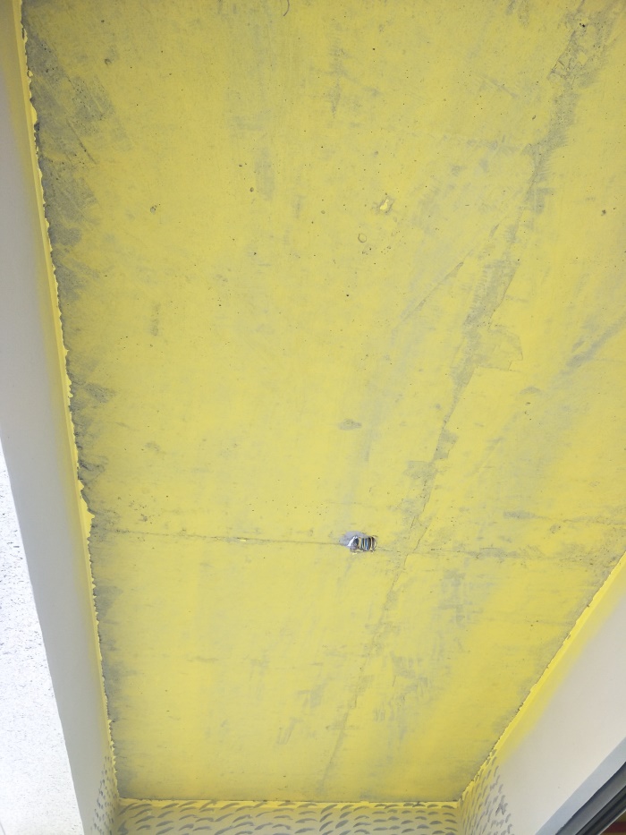 IMG20190508135055.jpg