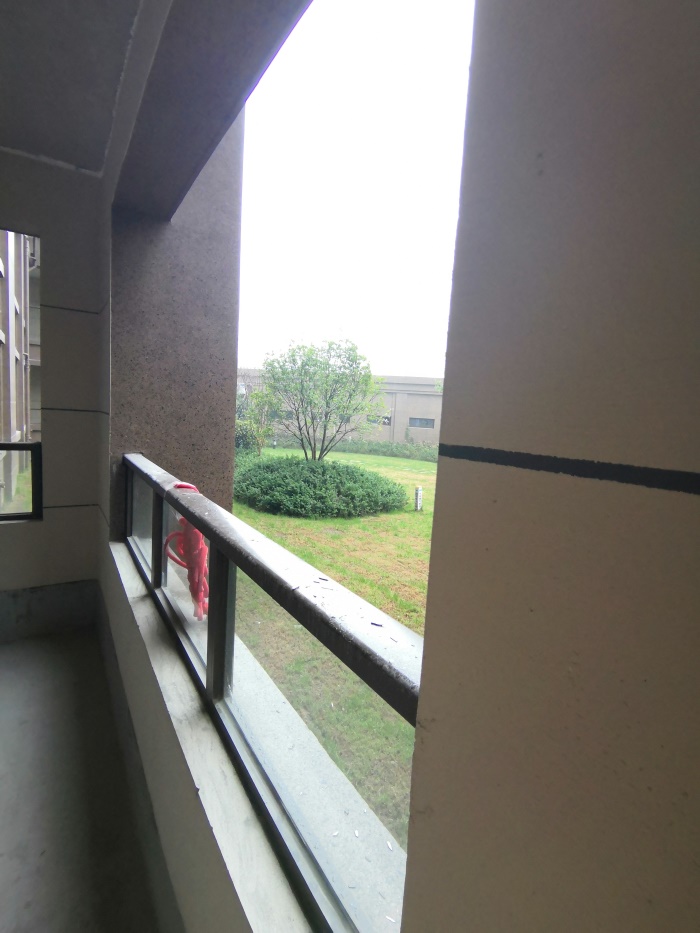 IMG_20190601_152452.jpg