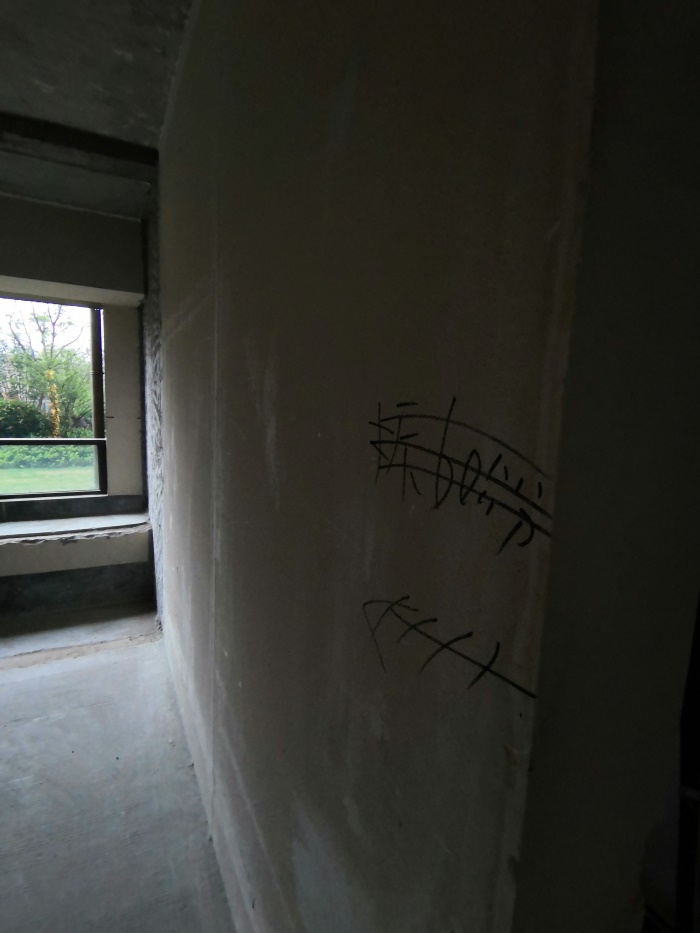 IMG_20190601_152538.jpg