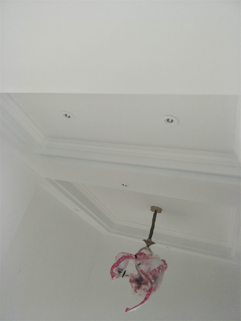 IMG20190603092447.jpg
