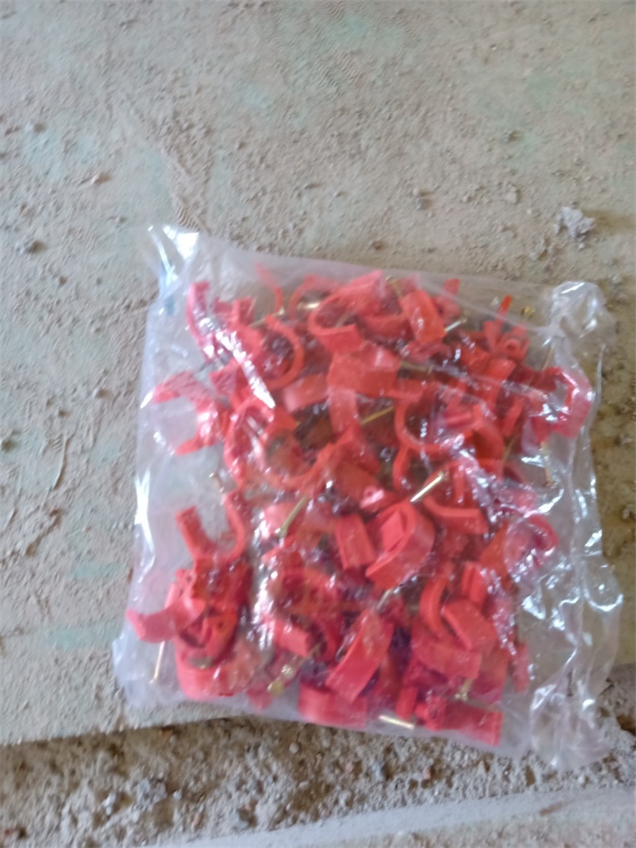IMG20190604093454.jpg