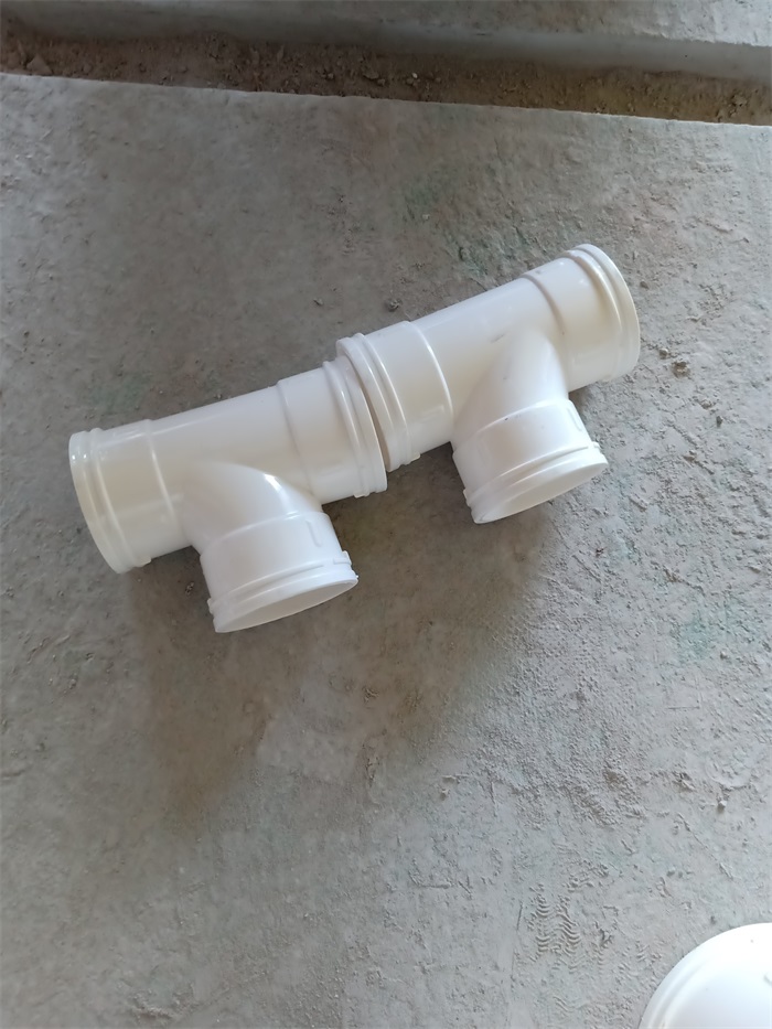 IMG20190604093859.jpg