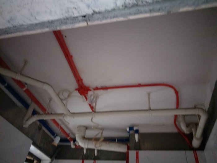 IMG20190429091554.jpg