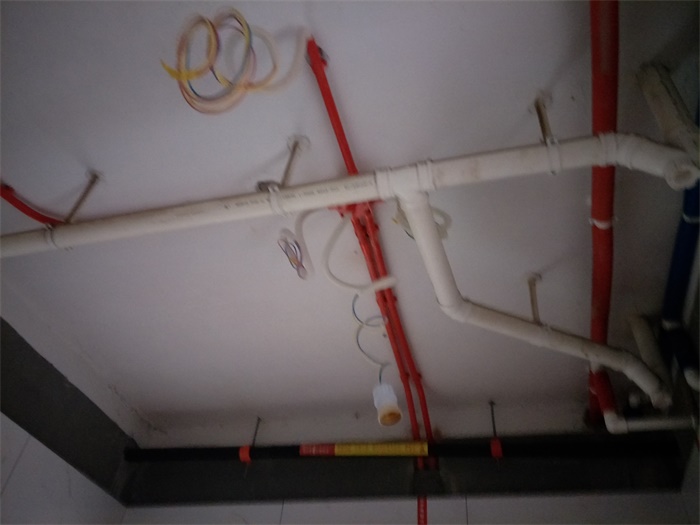 IMG20190429091614.jpg