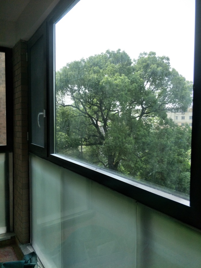 IMG20190518094107.jpg