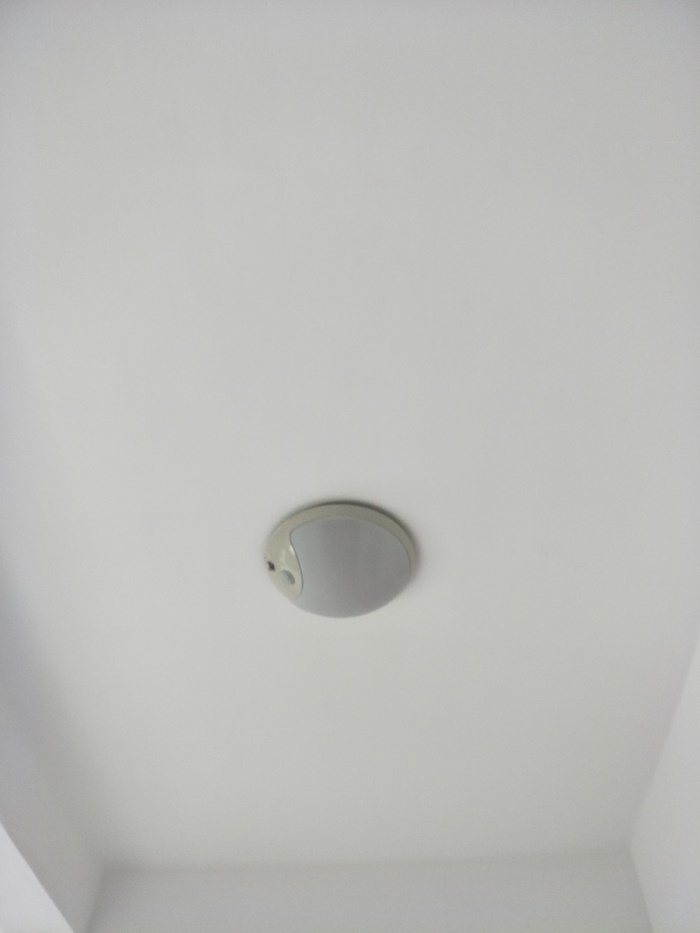 IMG20190518094254.jpg