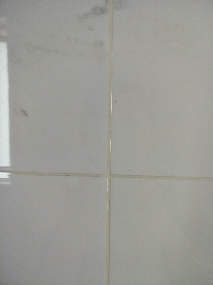 IMG20190518094458.jpg