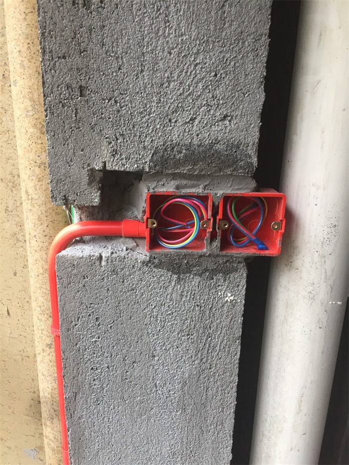 IMG_4782.JPG