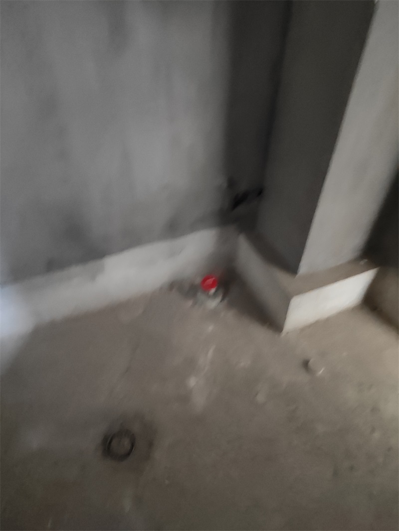 IMG_20190602_101332.jpg