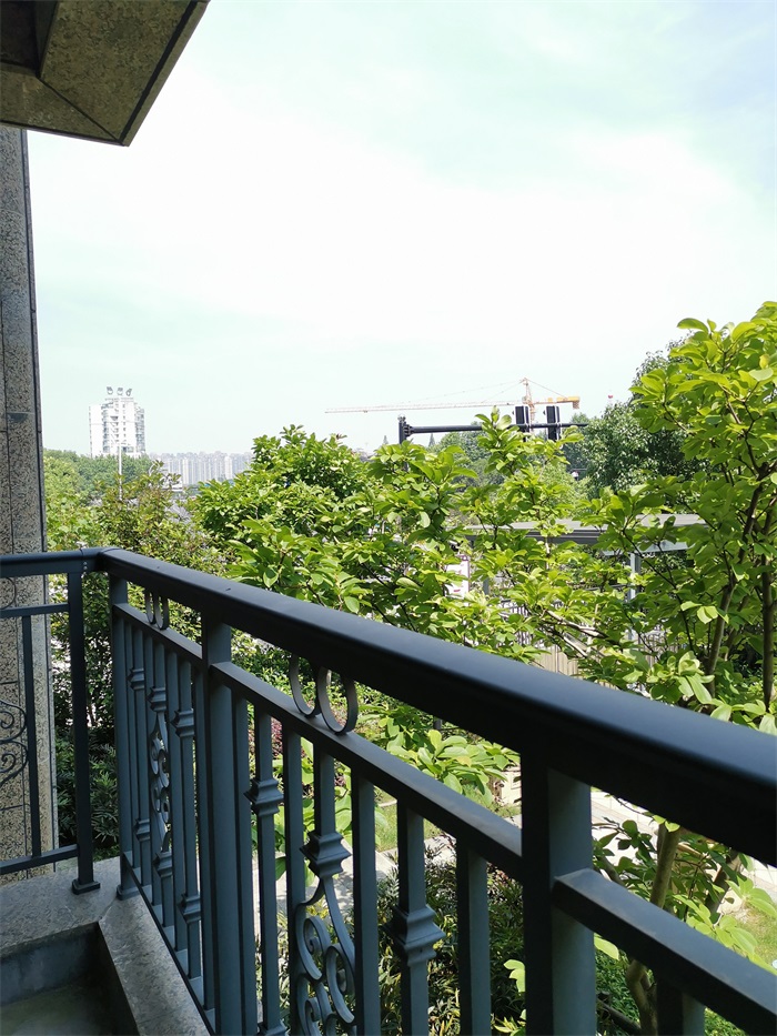 IMG_20190605_095922.jpg