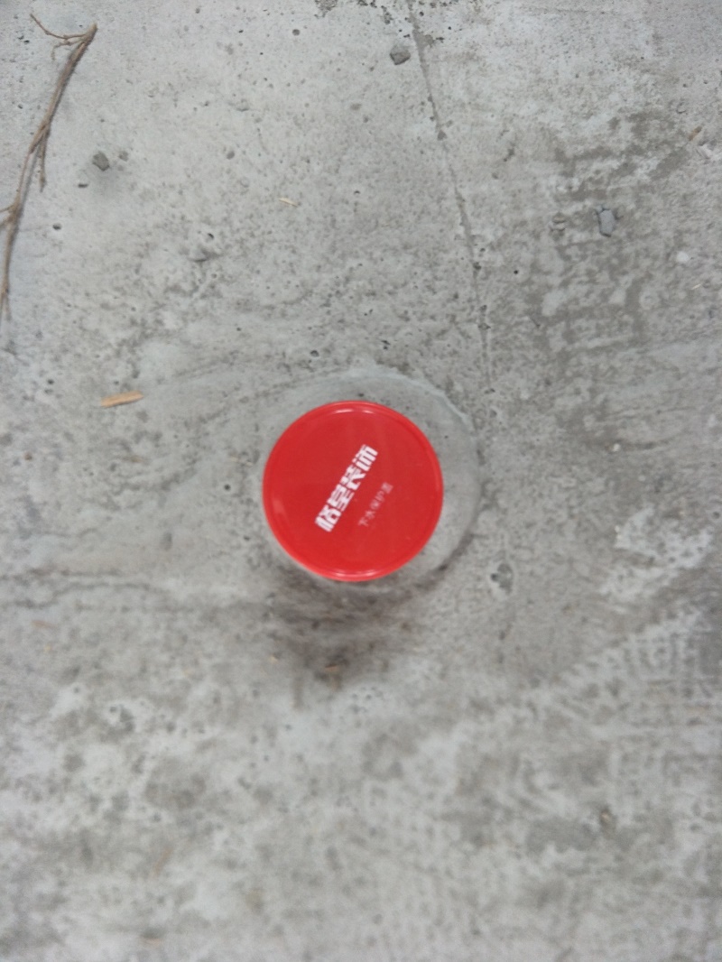 IMG20190606100304.jpg