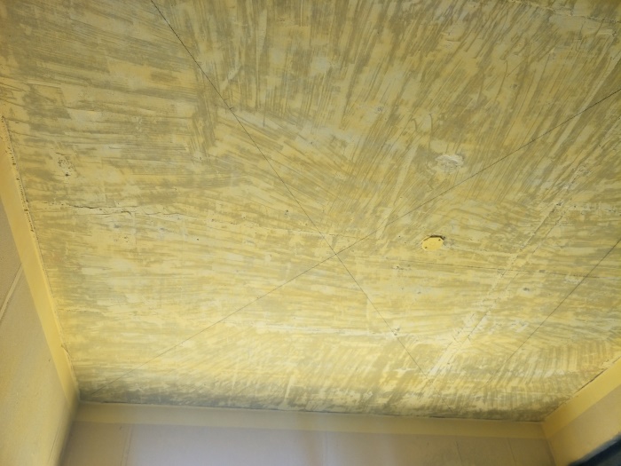IMG20190512101145.jpg