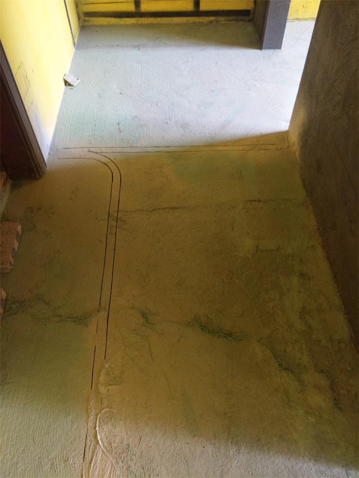 IMG20190512101246.jpg