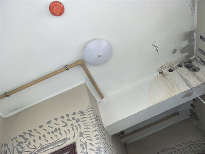 IMG20190520090128.jpg